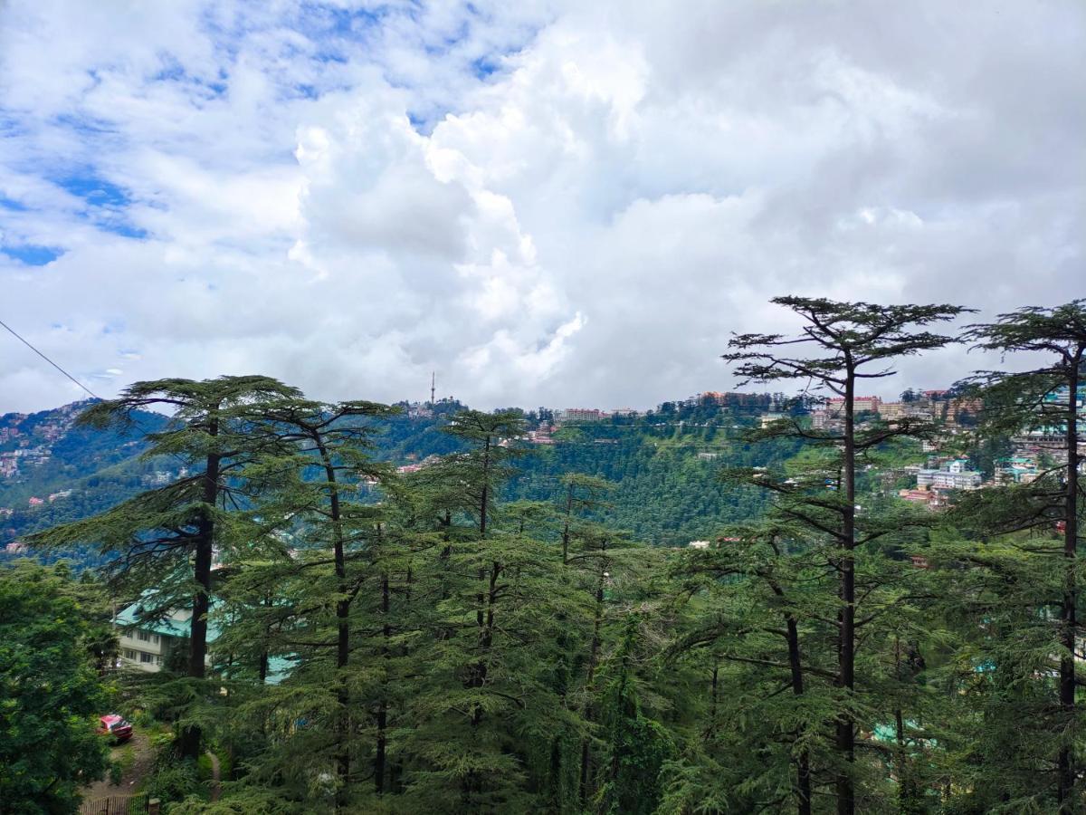 Magic Stays - Shimla Royale - Free Pickup From Railway Station Shimla Ngoại thất bức ảnh